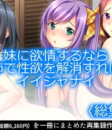 妹に欲情するなら姉で性欲を解消すればイイジャナイ ＜総集編1-7＞