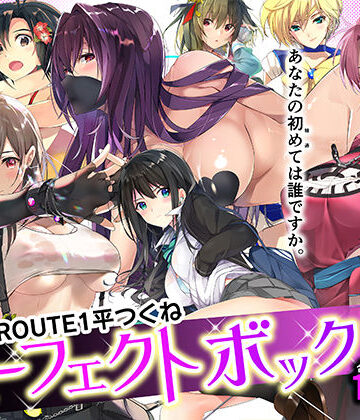 ROUTE1 平つくね パーフェクトボックス