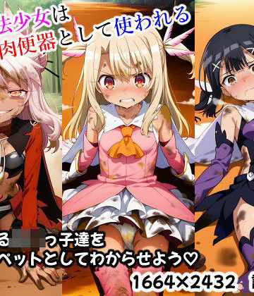 敗北魔法少女は無様な肉便器として使われる