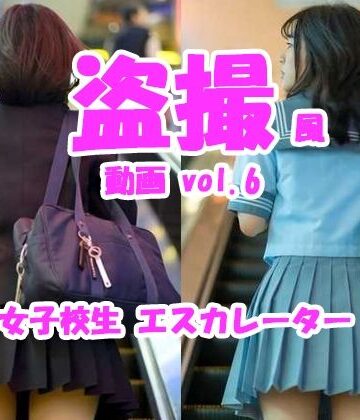 盗撮風動画 vol.6 女子校生エスカレーター編