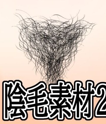 陰毛素材2