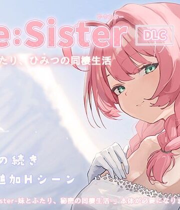 Re:Sister―妹とふたり、ひみつの同棲生活―【DLC】【アラン・マイヤー❤動画・アニメーション】レビュー